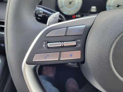 2025 Hyundai PALISADE Calligraphy AWD